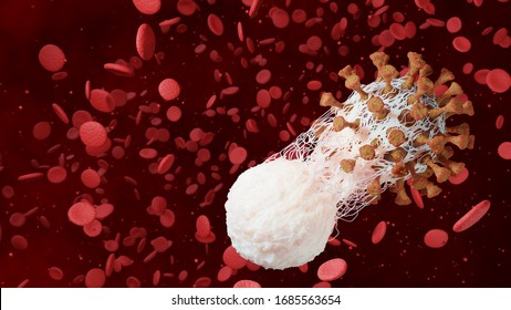 White Blood Cell Immune Phagocytosis Coronavirus COVID-19  Disease Cells Infection 3D Render Illustration