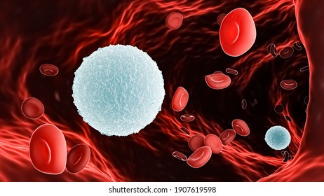 White blood cell or Lymphocyte B amidst red blood cells or erythrocytes within a blood vessel 3D rendering illustration. Immune system, anatomy, medicine, microbiology, science concepts.