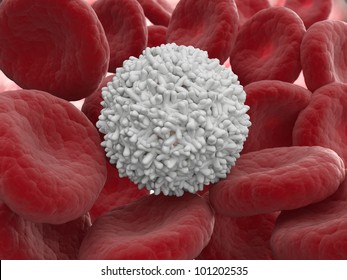 White Blood Cell Medical Illustration