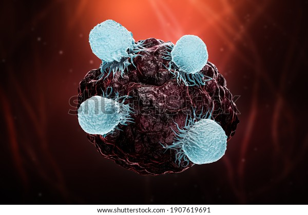 White blood cells or T lymphocytes or natural\
killer T attack a cancer or tumor or infected cell 3D rendering\
illustration. Oncology, immune system, biomedical, medicine,\
science, biology\
concepts.