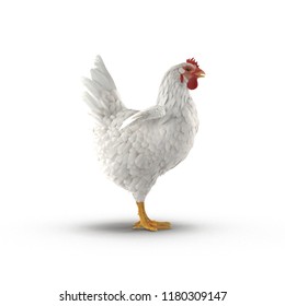 White Chicken Or Hen On Bright. Side View. 3D Illustration