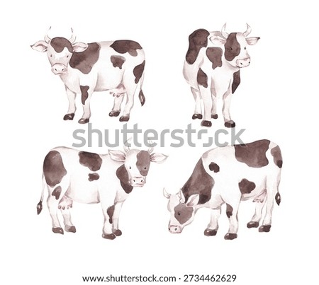 White cows with black spots in different poses.  Illustrations set hand drawn with watercolor. Farm animals clip art isolated on white background
