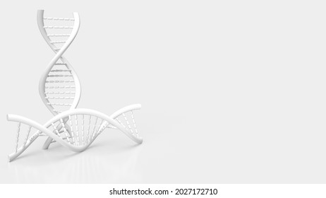 The White Dna On White Background For Science Or Medical  Concept 3d Rendering