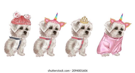 犬 イラスト 正面 Images Stock Photos Vectors Shutterstock