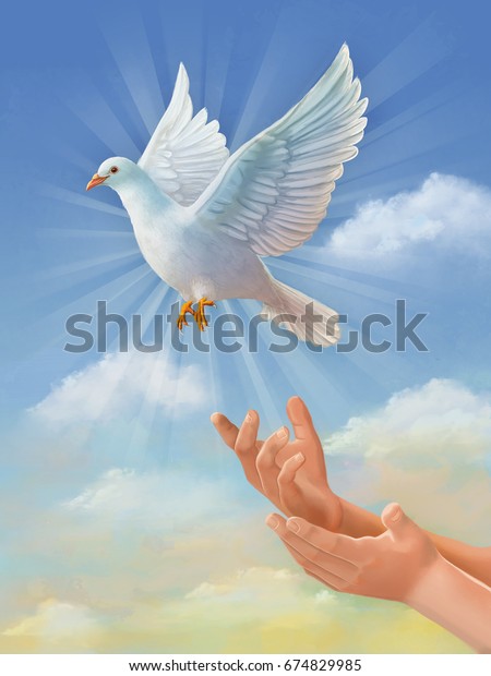 平和の象徴 空を飛ぶ白い鳩 グラフィックタブレットを使用してペイントされたオリジナルのデジタルイラスト のイラスト素材