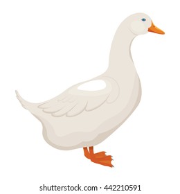 white duck vector illustration isolated