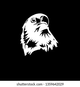 white eagle on black background 
