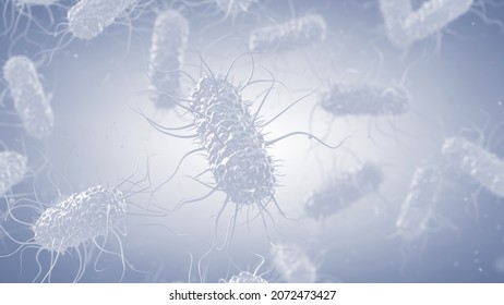 White Escherichia Coli Bacteria On White Background, 3d Illustration . Escherichia Coli Is A Gram Negative Bacterium That Is Part Of The Gut Microbiota But Some Strains Can Cause Food Poisoning