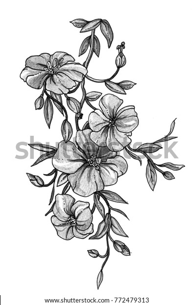 白い亜麻の花 結婚式の招待 カード プリント パターンデザイン用の白黒と白の白黒の白黒イラストで 熱帯の植物学的なレトロなビンテージ手描きのイラスト 和風 のイラスト素材