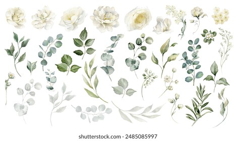 White flowers isolated. Alabaster roses, creamy peony bouquets, ivory elegant florals. Eucalyptus leaves greenery. Watercolor floral illustration isolated on white background. Wedding clip art