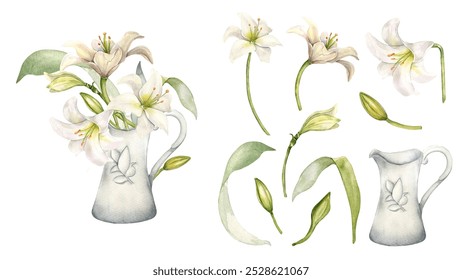 White flowers lily and buds watercolor illustration isolated. Floral set in pastel tones hand drawn in botanical sketch. Bunch lily in ceramic jug painted for wedding invitation, christening, Easter. - Powered by Shutterstock