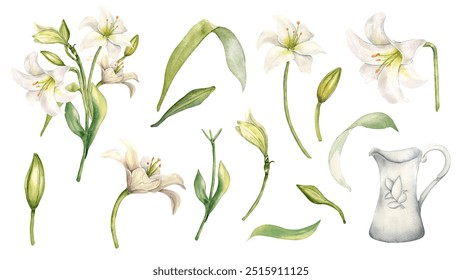 White flowers lily and jug watercolor illustration isolated. Easter floral set in pastel tones hand drawn. Lily, stem, bud and leaves painted in botanical sketch. Element for wedding invitation. - Powered by Shutterstock