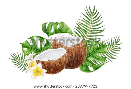 White frangipani, green monstera, palm leaves, half a broken coconut illustration. Watercolor hand drawn exotic fruit. Tropical painting for wedding invitations, spa, beauty prints, travel guides