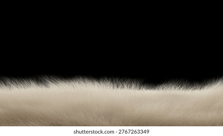 White fur texture border on black background, soft animal hair close-up