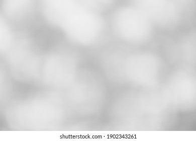 White Gray Background Bokeh For Background