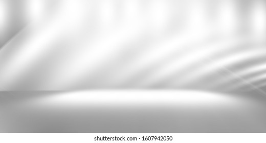 white and gray studio room background, grey floor backdrop with spotlight  - Shutterstock ID 1607942050