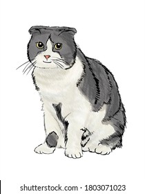 White And Grey Smiling, Sitting And Funny Cat Illustration, Photoshop Digital Drawing