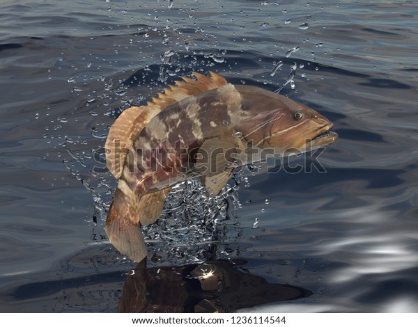 white-grouper-fish-jumping-out-water-stock-illustration-1236114544