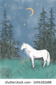 
White horse. Evening. Summer landscape. Digital illustration. Cute illustration for the decor and design of posters, postcards, prints, stickers, invitations, textiles and stationery.