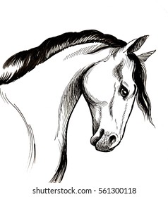 Horse Sketch Images Stock Photos Vectors Shutterstock