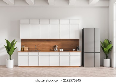 White Kitchen Interior With Sink, Stove And Fridge With Plant In The Corner, Minimalist Kitchenware. Cooking Space With Hardwood Floor, 3D Rendering