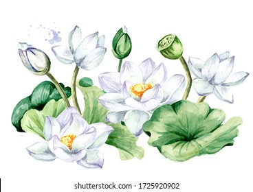White Lotus flowers with green leaves. Hand drawn botanical watercolor illustration isolated on white background