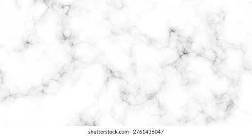 Fondo piedra mármol blanco