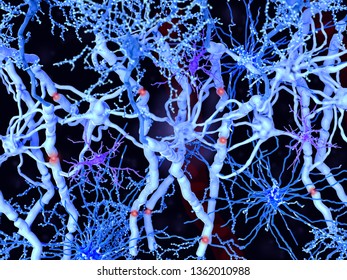 White matter in the brain and spinal cord: neurons with myelinated axons, oligodendrocytes forming the myelin sheaths, fibrous astrocytes (dark blue) and microglia cells (violet). 3d rendering