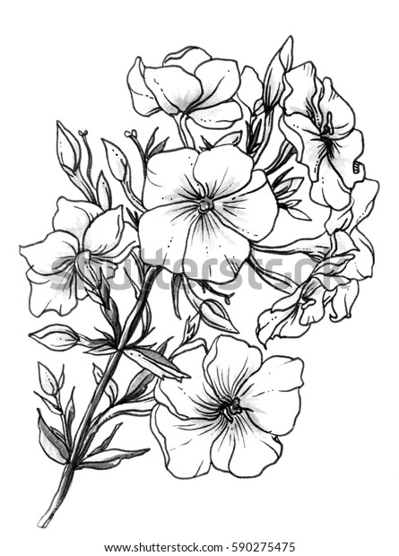 白い牧草地のエキゾチックな花が咲く 結婚式の招待状のカードのプリントパターンデザイン用の ボタニカルなレトロなビンテージ手描きの水彩白黒 イラスト 和風庭園 のイラスト素材