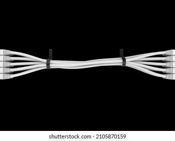 White network cables bound together with black zipties and plugged in - 3D Illustration