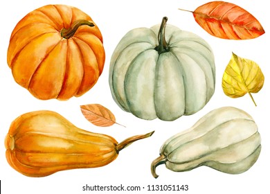 white   orange pumpkin  leaves isolated white background  autumn set elements isolated white background  watercolor illustration  hand drawing