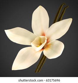 White orchid and vanilla beans with clipping path