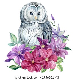 White owl   flowers an isolated white background  Watercolor illustration  poster and owl decorated and clematis 