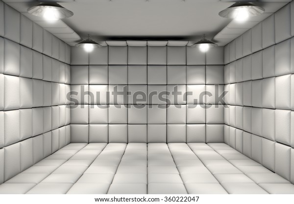 A white padded\
cell in a mental\
hospital