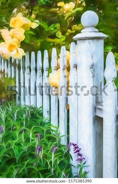 White picket fence with spring flowers and foliage\
on both sides, Petaluma, California, USA, with digital painting\
effect