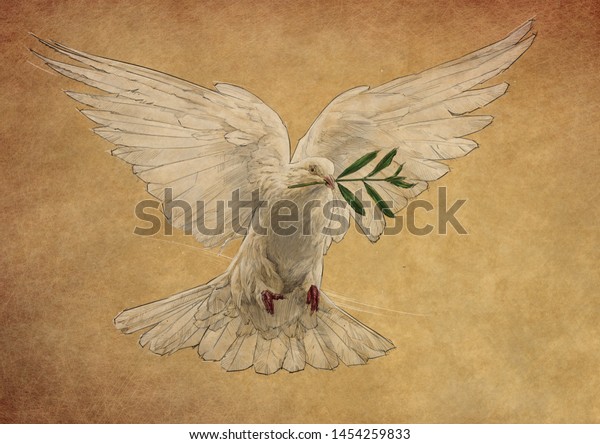 white pigeon colour pencil drawing on stock illustration 1454259833 https www shutterstock com image illustration white pigeon colour pencil drawing on 1454259833