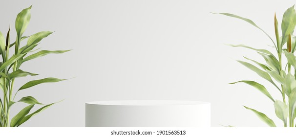 White Podium Stand, Cosmetic Display Product Stand With Nature Leaves Background. 3D Rendering