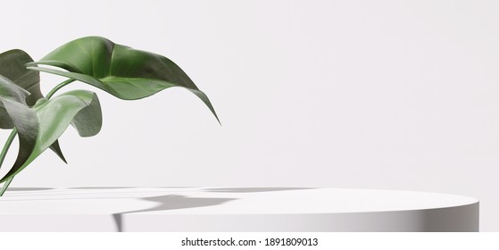 White Product Display Podium With Nature Leaves. 3D Rendering