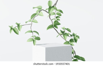 White Product Display Podium With Nature Leaves And Branches. 3D Rendering