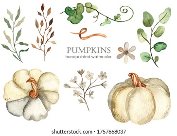 Download Watercolor Pumpkin Flowers Images Stock Photos Vectors Shutterstock