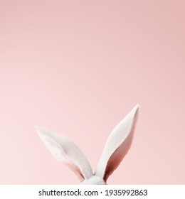 White Rabbit Ear On Pastel Pink Background. Easter Day. 3d Rendering