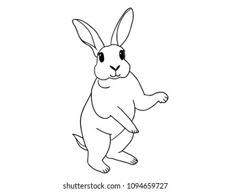 White Rabbit Standing Drawing Line On White Background