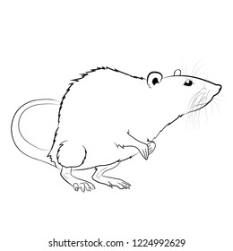 White Rat Linear Drawing Stock Illustration 1224992629 | Shutterstock