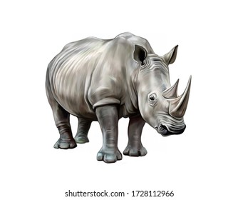 White Rhino (Ceratotherium Simum), Realistic Drawing, Illustration For The Encyclopedia Of Extinct Animals, Isolated Image On White Background