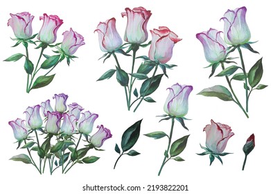 White Rose Flower Clipart Illustration Isolated On White Background, Flower Pattern