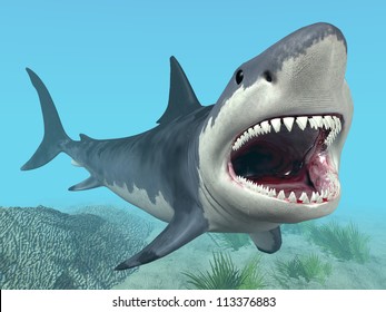 White Shark Computer Generated 3d Illustration Stock Illustration 113376883