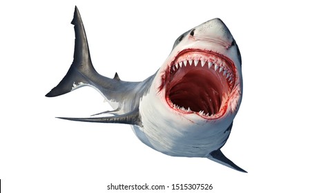 White Shark Marine Predator Big Open Mouth And Teeth. 3D Rendering