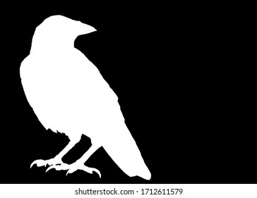 White silhouette of a raven on a black background. The isolate of crow is sitting on a stone.
