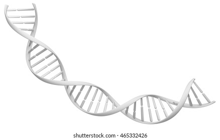 White Spiral DNA Strand. Isolated On A White Background Image. 3D Illustration For Design.