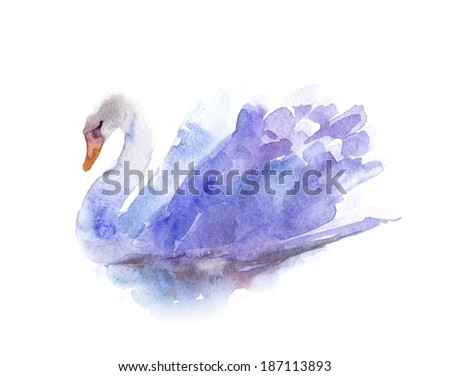 white Swan watercolor